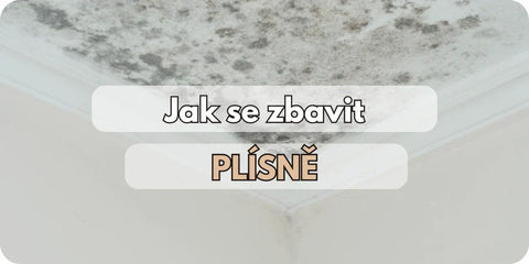 Jak odstranit plíseň